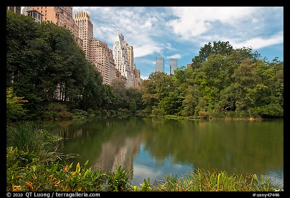 Pond and high-rise buildings, Central Park. NYC, New York, USA (color)