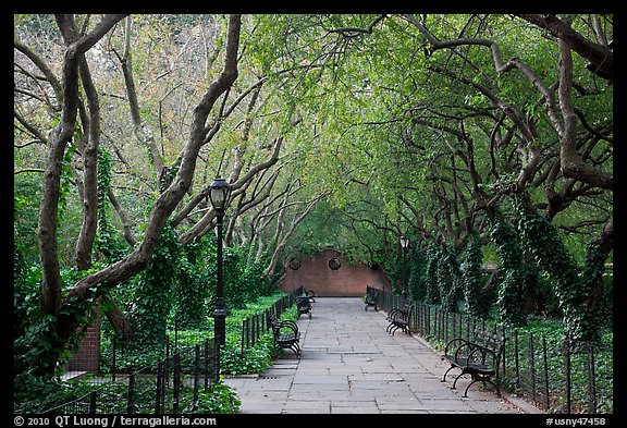 Crabapple Allees, Conservatory Garden. NYC, New York, USA (color)