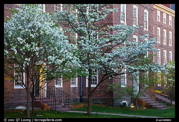 Dogwoods in bloom and University Hall at dusk, Brown University. Providence, Rhode Island, USA (color)