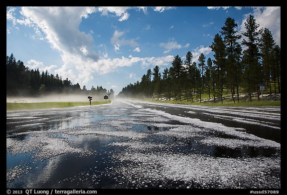 Highway with hail, Black Hills National Forest. Black Hills, South Dakota, USA