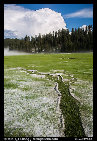 Meadow with hailstones, hail storm clearing, Black Hills National Forest. Black Hills, South Dakota, USA