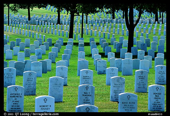 Rows of gravestones, Black Hills National Cemetery. Black Hills, South Dakota, USA (color)