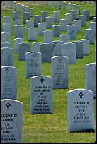 Rows of tombs, Black Hills National Cemetery. Black Hills, South Dakota, USA ( color)