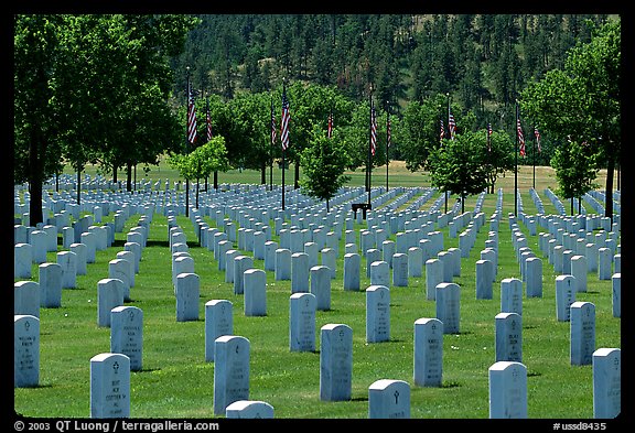 Black Hills National Cemetery. Black Hills, South Dakota, USA (color)