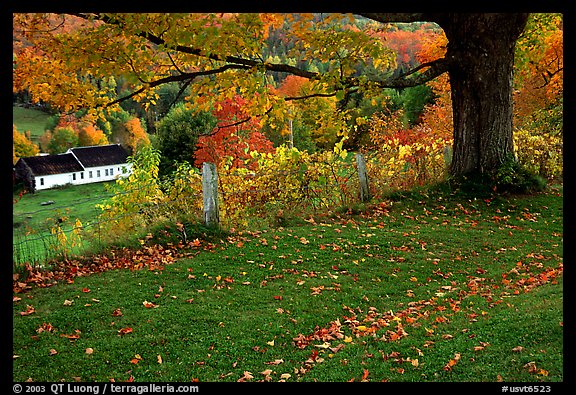 Peacham. Vermont, New England, USA