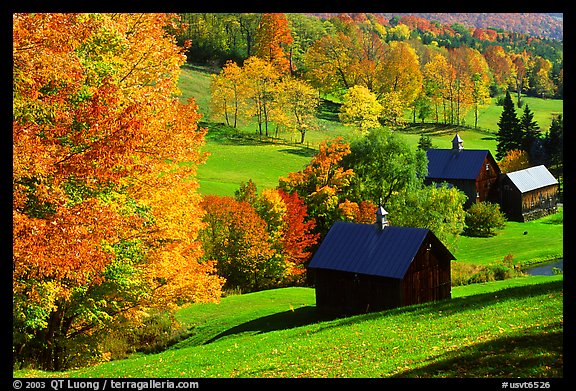 Sleepy Hollow Farm near Woodstock. Vermont, New England, USA (color)