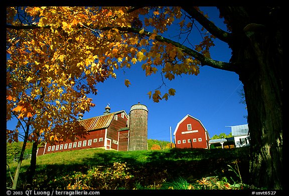 Pomeret Highlands Farm near Woodstock. Vermont, New England, USA (color)