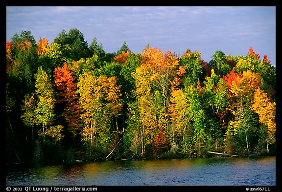 Trees in fall colors bordering a lake. Wisconsin, USA (color)