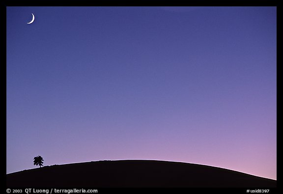 Pine on cinder cone and crescent moon. Craters of the Moon National Monument and Preserve, Idaho, USA (color)
