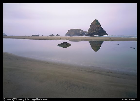 Triangular rock reflected in beach tidepool. USA (color)