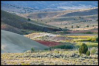 Sagebrush and ash hills. John Day Fossils Bed National Monument, Oregon, USA (color)