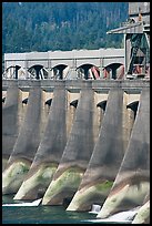 Bonneville Dam. Columbia River Gorge, Oregon, USA