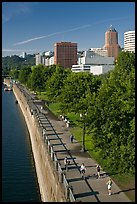 People exercising at park on Williamette River waterfront, skyline. Portland, Oregon, USA ( color)