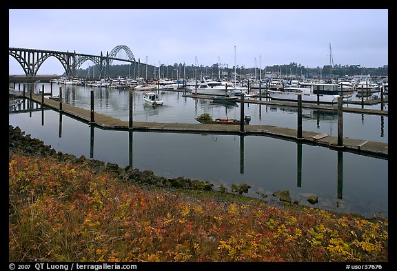Newport harbor. Newport, Oregon, USA (color)
