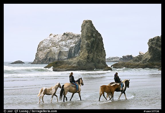 Women horse-riding on beach. Bandon, Oregon, USA (color)