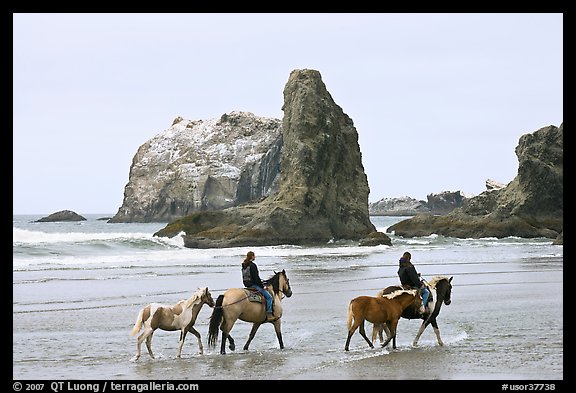 Women horse-riding on beach. Bandon, Oregon, USA