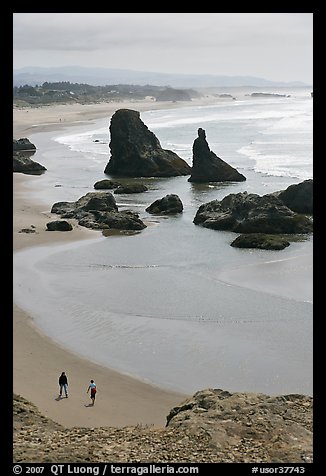 Beach and seastacks at Face Rock. Bandon, Oregon, USA (color)