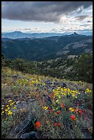 Wildflowers and distant Pilot Rock. Cascade Siskiyou National Monument, Oregon, USA ( color)