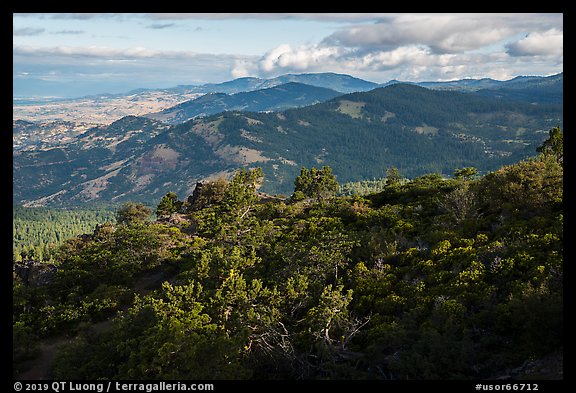 Forested ridges from Hobart Bluff. Cascade Siskiyou National Monument, Oregon, USA (color)