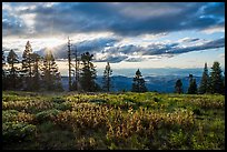 Meadow, sun, and view over mountains near Grizzly Peak. Cascade Siskiyou National Monument, Oregon, USA ( color)