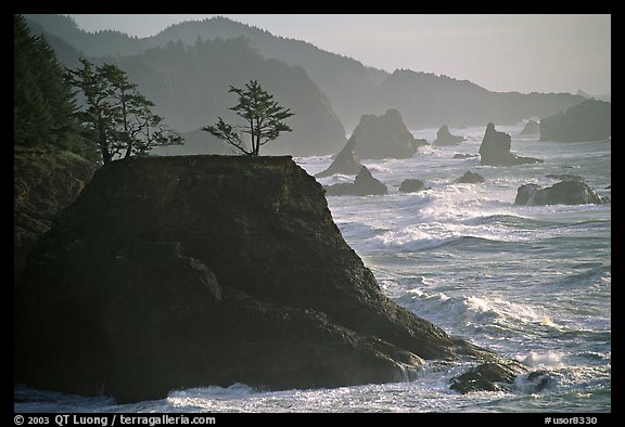 Coastline with rocks and seastacks, Samuel Boardman State Park. Oregon, USA