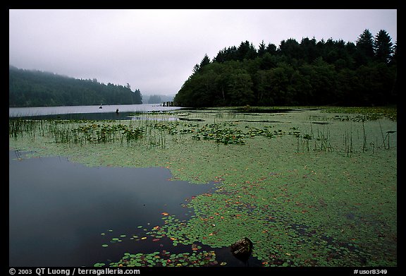 Coastal lagoon. Oregon, USA (color)