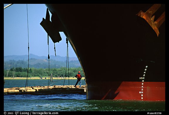 Cargo ship loading floated timber, Coos Bay. Oregon, USA (color)