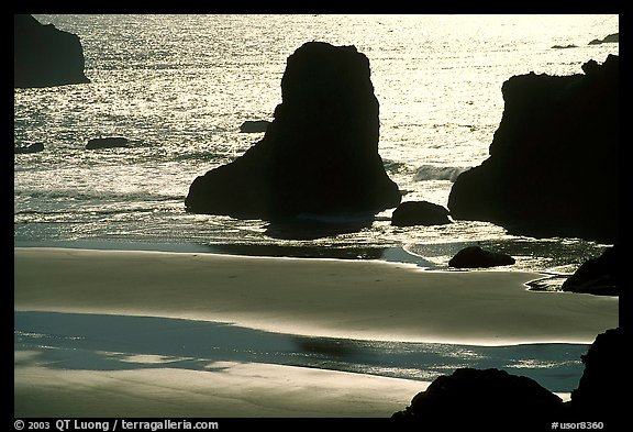 Rocks, water reflections, and beach, late afternoon. Bandon, Oregon, USA