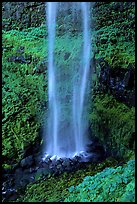 Diaphane waterfall, North Umpqua watershed. Oregon, USA ( color)