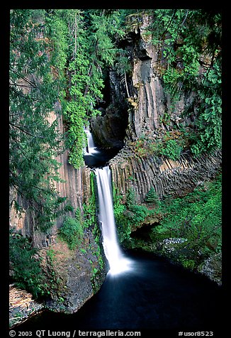 Toketee Falls  and wall of columnar balsalt. Oregon, USA (color)