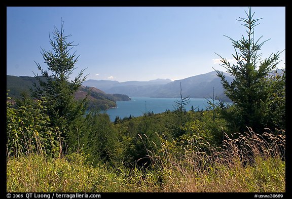 Grasses, trees, and Riffe Lake. Washington (color)