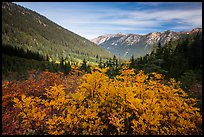 Fall foliage in valley below Easy Pass, Okanogan National Forest. Washington ( color)