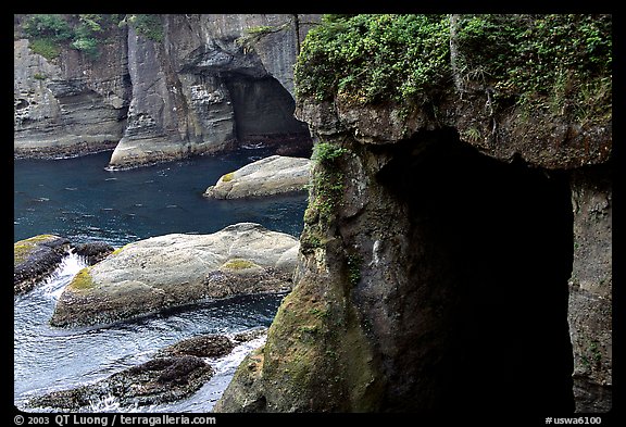 Sea caves and cliffs, Cape Flattery, Olympic Peninsula. Olympic Peninsula, Washington (color)