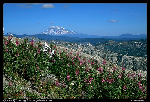 View over Cascade range with Snowy volcano. Mount St Helens National Volcanic Monument, Washington