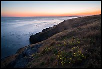 Coastline with wildflowers at sunset near Iceberg Point, Lopez Island. Washington ( color)