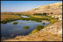 White bluffs and wetlands, Hanford Reach National Monument. Washington ( color)