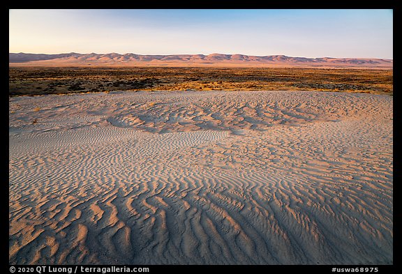 Sand ripples and Saddle Mountains at sunset, Hanford Reach National Monument. Washington (color)