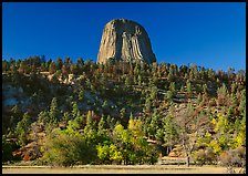 Devil's Tower rising above forested slope. Wyoming, USA