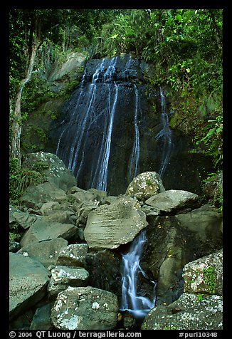 La Coca Falls, El Yunque, Carribean National Forest. Puerto Rico (color)