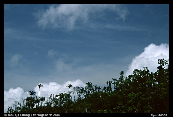 Clouds and trees. Puerto Rico