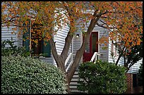 Tree in fall color and house. Montgomery, Alabama, USA