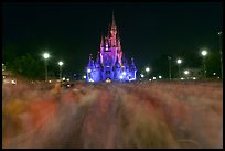 Blurry crowds and Cinderella Castle, Walt Disney World. Orlando, Florida, USA