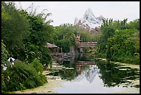 Tropical forest and Everest mountain, Animal Kingdom Theme Park. Orlando, Florida, USA (color)
