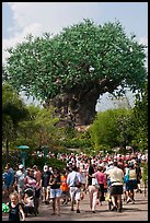 The Tree of Life, centerpiece of Animal Kingdom Theme Park. Orlando, Florida, USA (color)