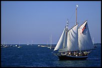 Old sailboat. Key West, Florida, USA (color)