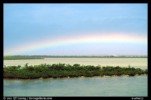 Rainbow above mangroves, Key West. The Keys, Florida, USA (color)