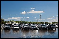 Cars in flooded lot, Matheson Hammock Park. Coral Gables, Florida, USA ( color)