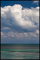 Atlantic ocean views with afternoon clouds, Matacumbe Key. The Keys, Florida, USA (color)