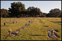 Cemetery. Orlando, Florida, USA ( color)