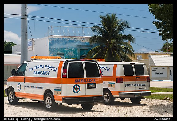 Turtle Hospital ambulances, Marathon Key. The Keys, Florida, USA
